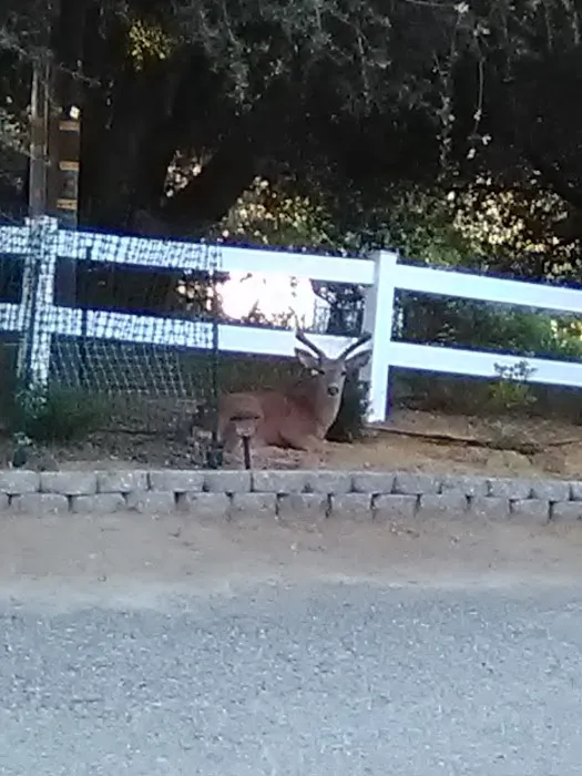 Sierra Hide Away Mobile Home Picture 3