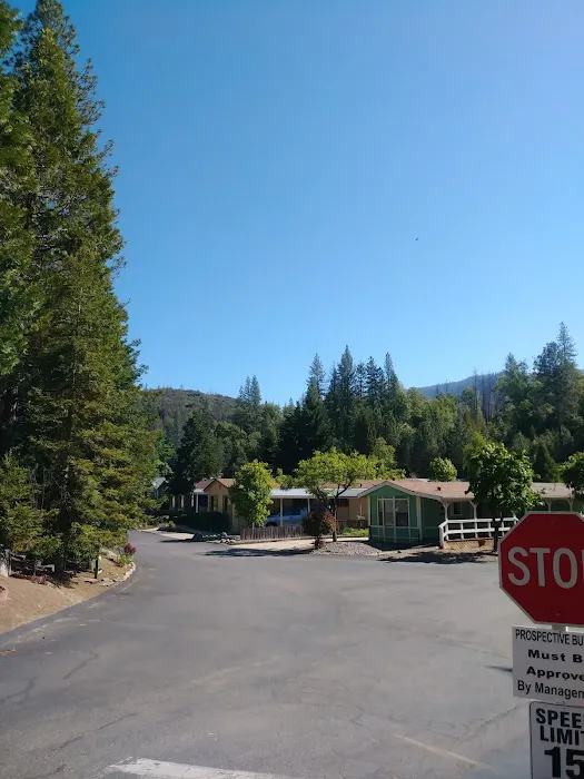 Sierra Springs Village Picture 3