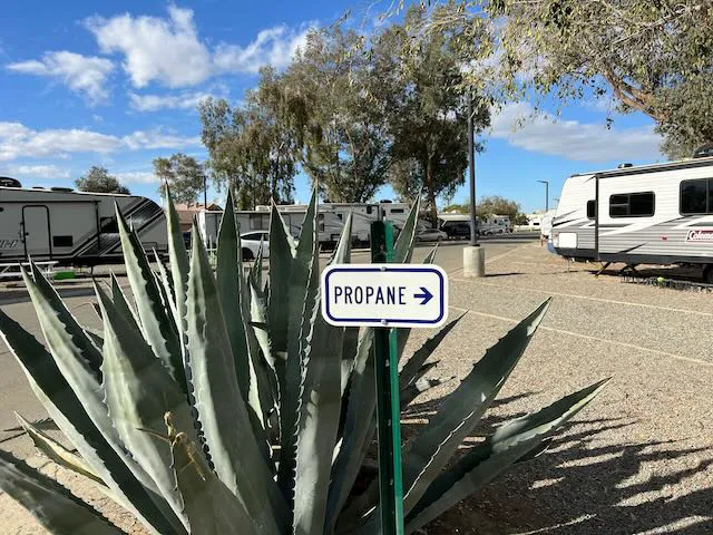 Almond Tree Oasis RV Park Picture 6