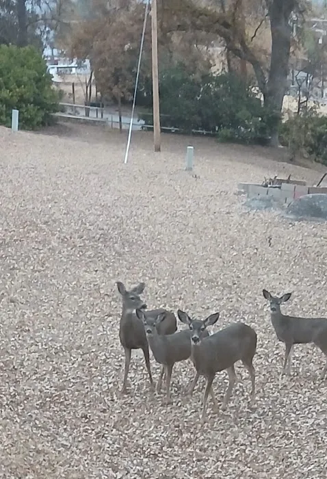 Oakhurst Mobile Home Estates Picture 5