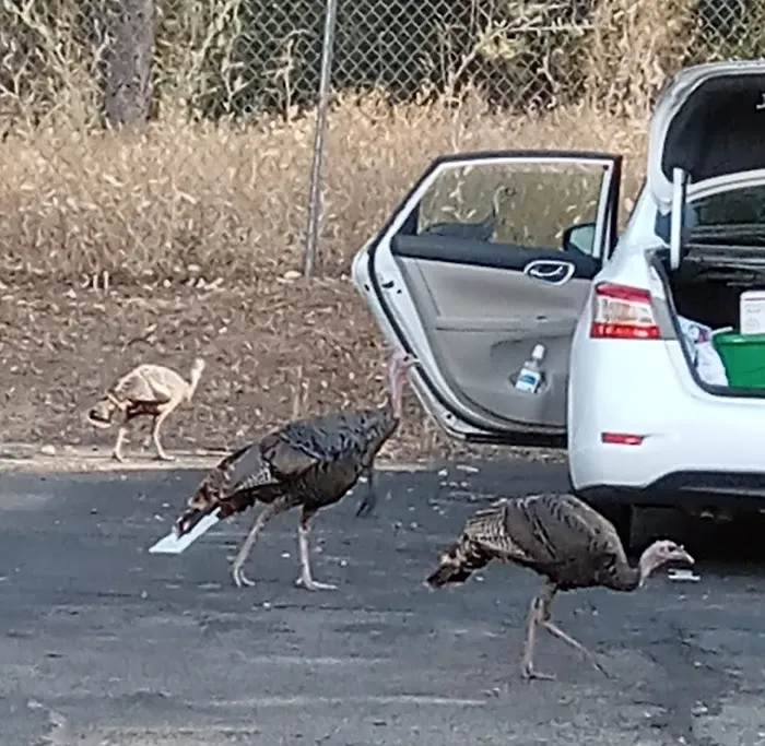 Oakhurst Mobile Home Estates Picture 1