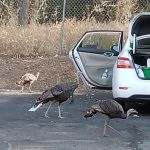 Oakhurst Mobile Home Estates