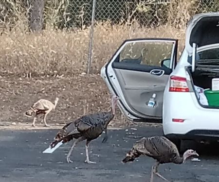 Oakhurst Mobile Home Estates