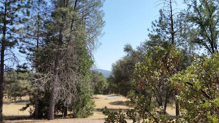 Oakhurst Mobile Home Estates Picture 10