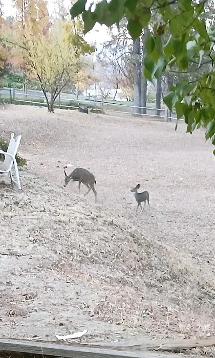 Oakhurst Mobile Home Estates Picture 6