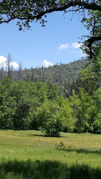 The Grove Senior Mobile Home Park Picture 2