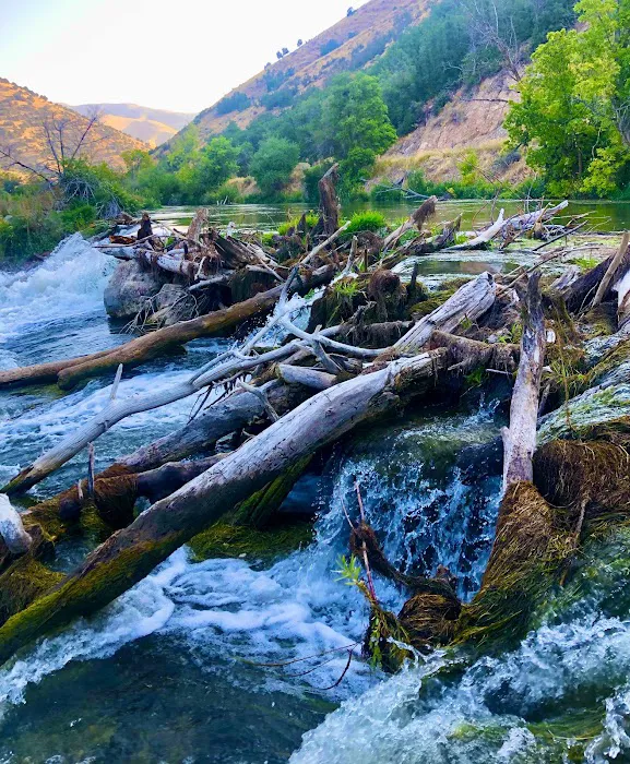 Como Springs Resort Picture 7