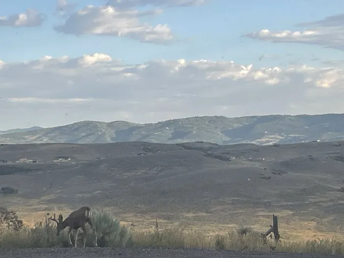 Mountain View RV Picture 1