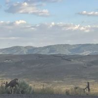 Mountain View RV ico