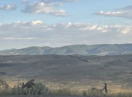 Mountain View RV