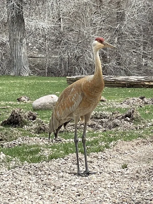 River's Edge Resort at Heber Valley Picture 7