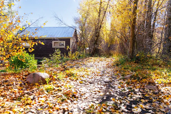 Roam Uinta Picture 8