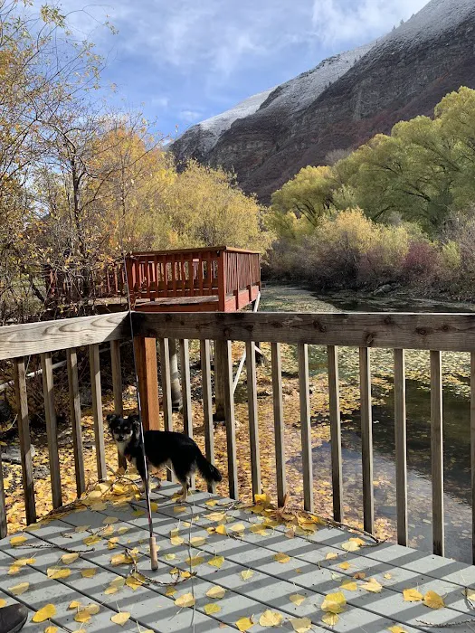 Provo River Resort Picture 3