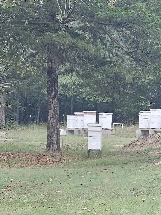 Enders RV Park Picture 6