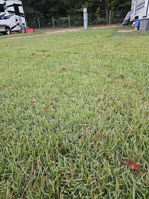 Enders RV Park Picture 4