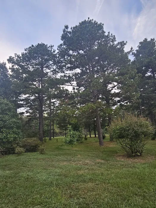 Enders RV Park Picture 5