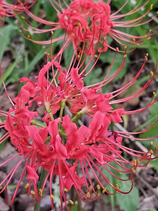 Enders RV Park Picture 1