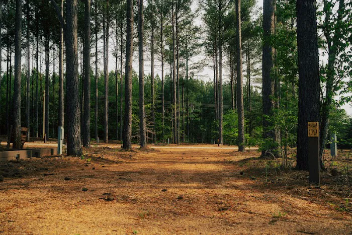 Tall Pines RV Resort Picture 1