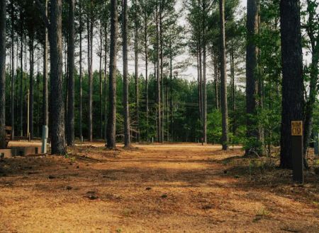 Tall Pines RV Resort