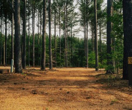 Tall Pines RV Resort