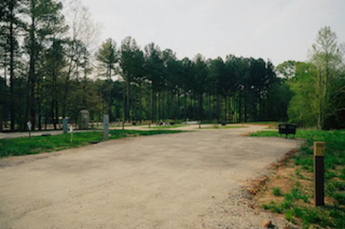 Tall Pines RV Resort Picture 3