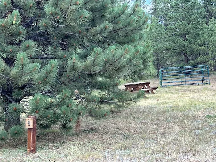 M Lazy C Ranch Picture 3