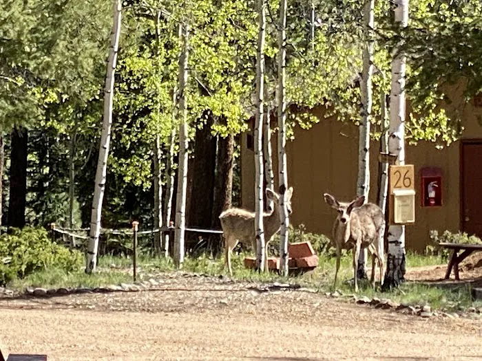 Golden Bell RV Park Picture 2