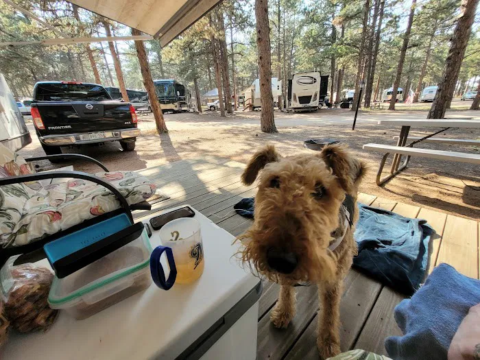 Diamond Campground Inc. Picture 4