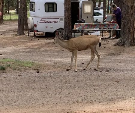 Diamond Campground Inc.