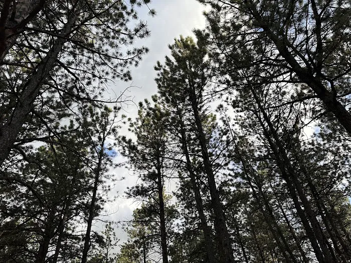 Diamond Campground Inc. Picture 10