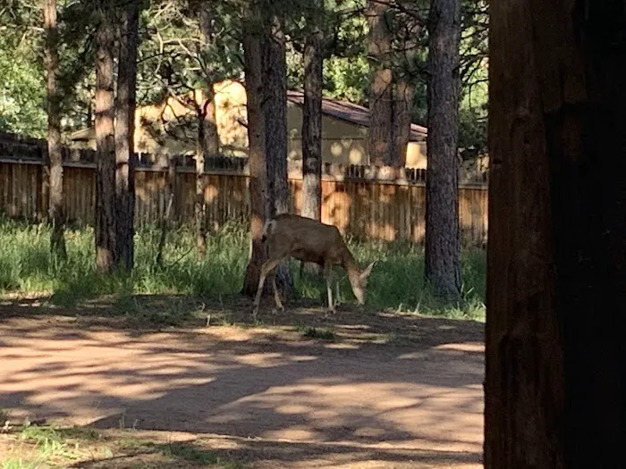 Diamond Campground Inc. Picture 8