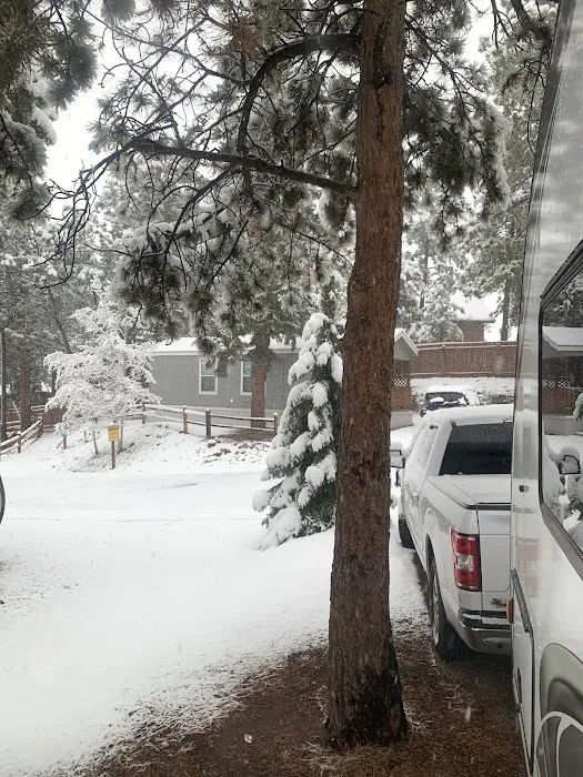 Woodland RV Park Picture 1