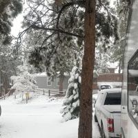 Woodland RV Park ico