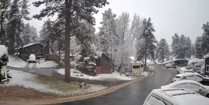 Woodland RV Park Picture 2