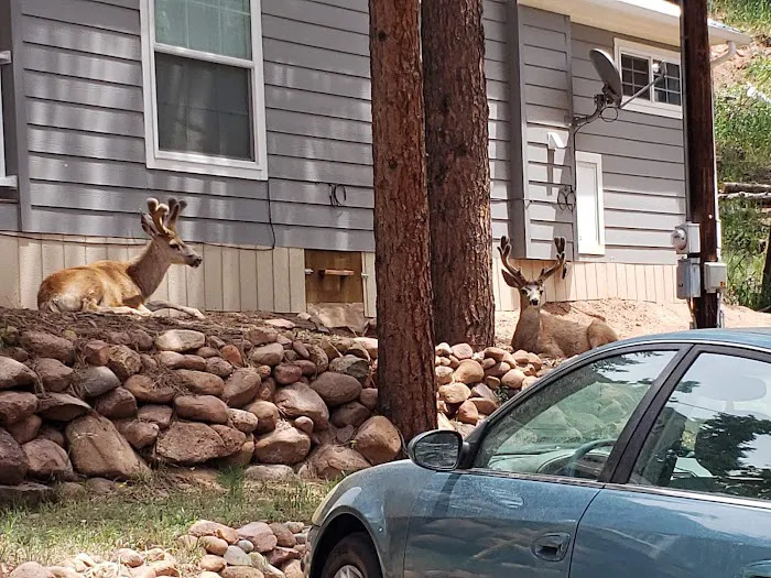 Peak View Park Picture 6