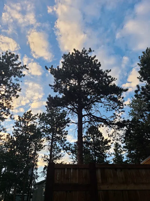 Peak View Park Picture 10