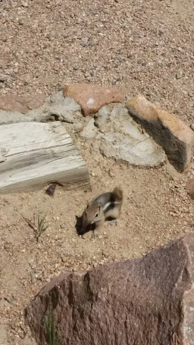 Big Pines RV Picture 7