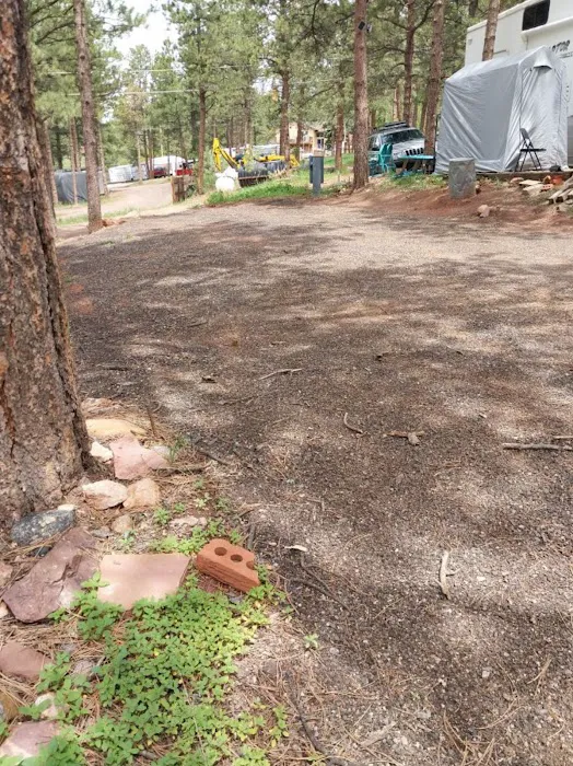 Big Pines RV Picture 3