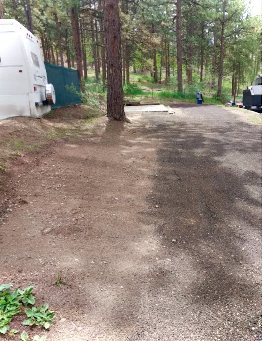 Big Pines RV Picture 5