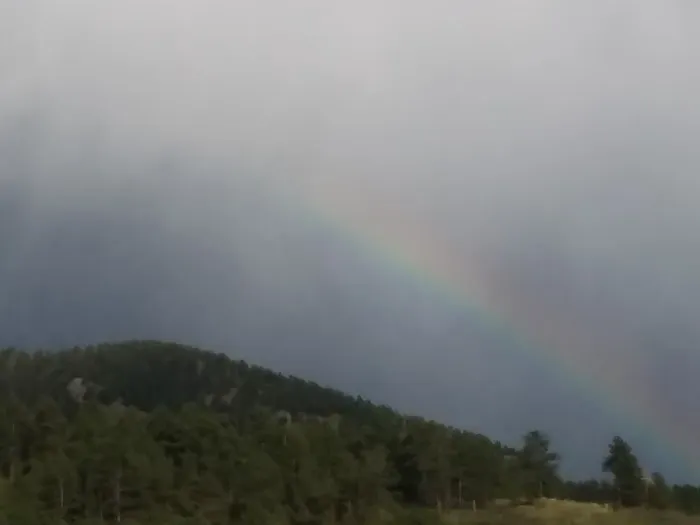 Big Pines RV Picture 8