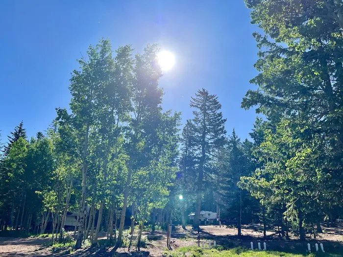 Rocking M Ranch Campground Picture 4