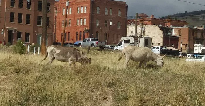 Cripple Creek RV Park (formerly Eagles Landing RV Park) Picture 4