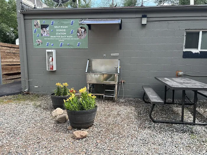 Pikes Peak RV Park Picture 9