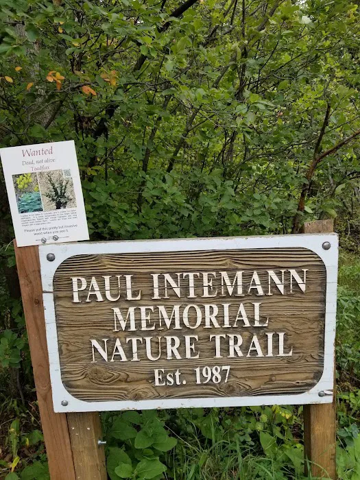 Crystal Kangaroo Campground Picture 2