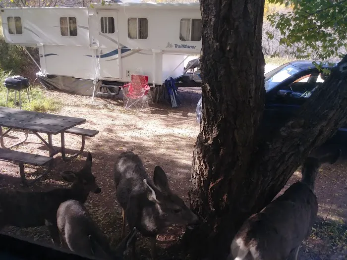 Crystal Kangaroo Campground Picture 3