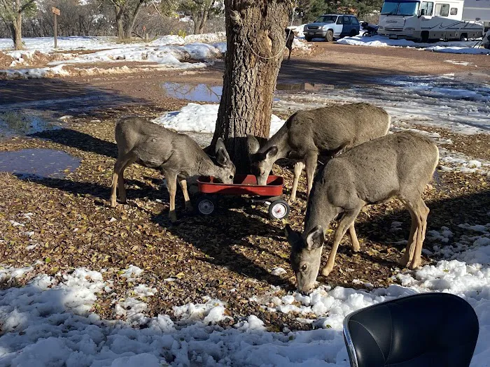 Crystal Kangaroo Campground Picture 10