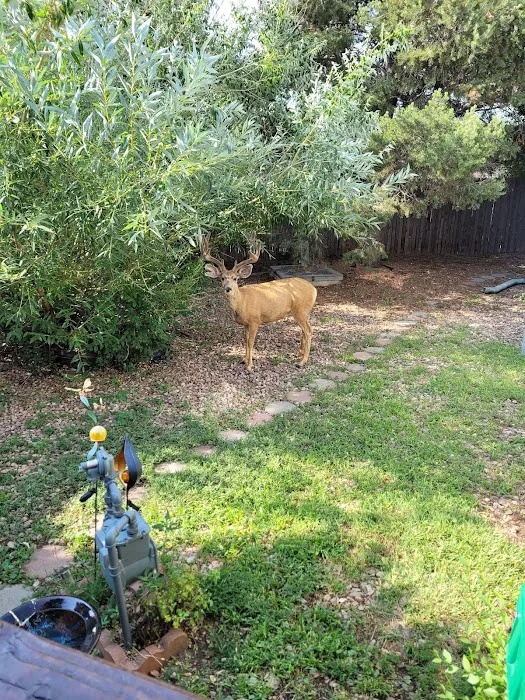 Crestline Manor Manufactured Home Community Picture 5