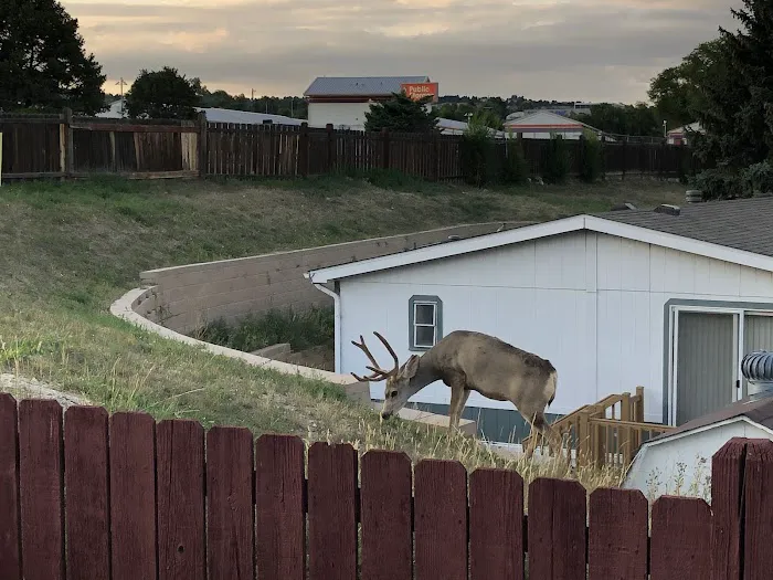 Holiday Village - Colorado Picture 1