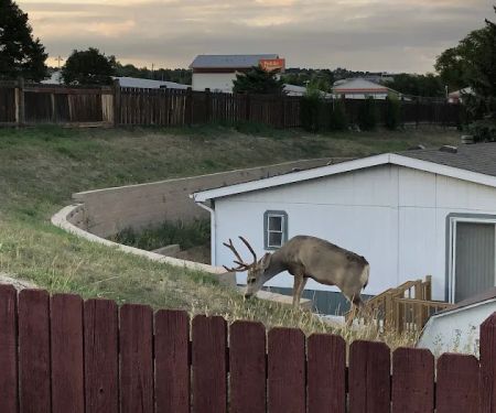 Holiday Village - Colorado