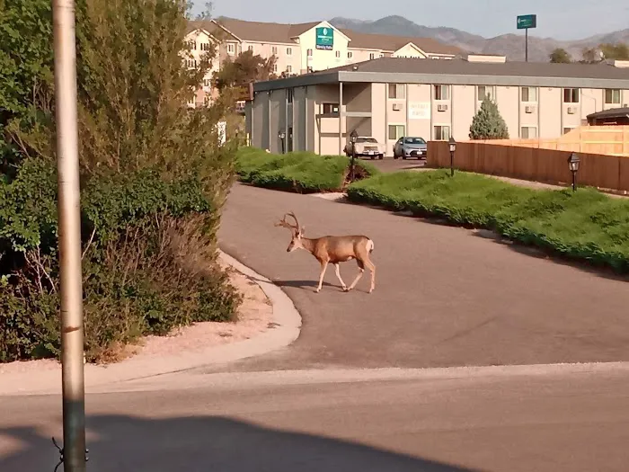 Holiday Village - Colorado Picture 5